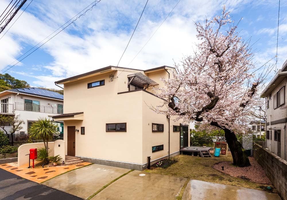 大きな桜の木をに寄り添う外観